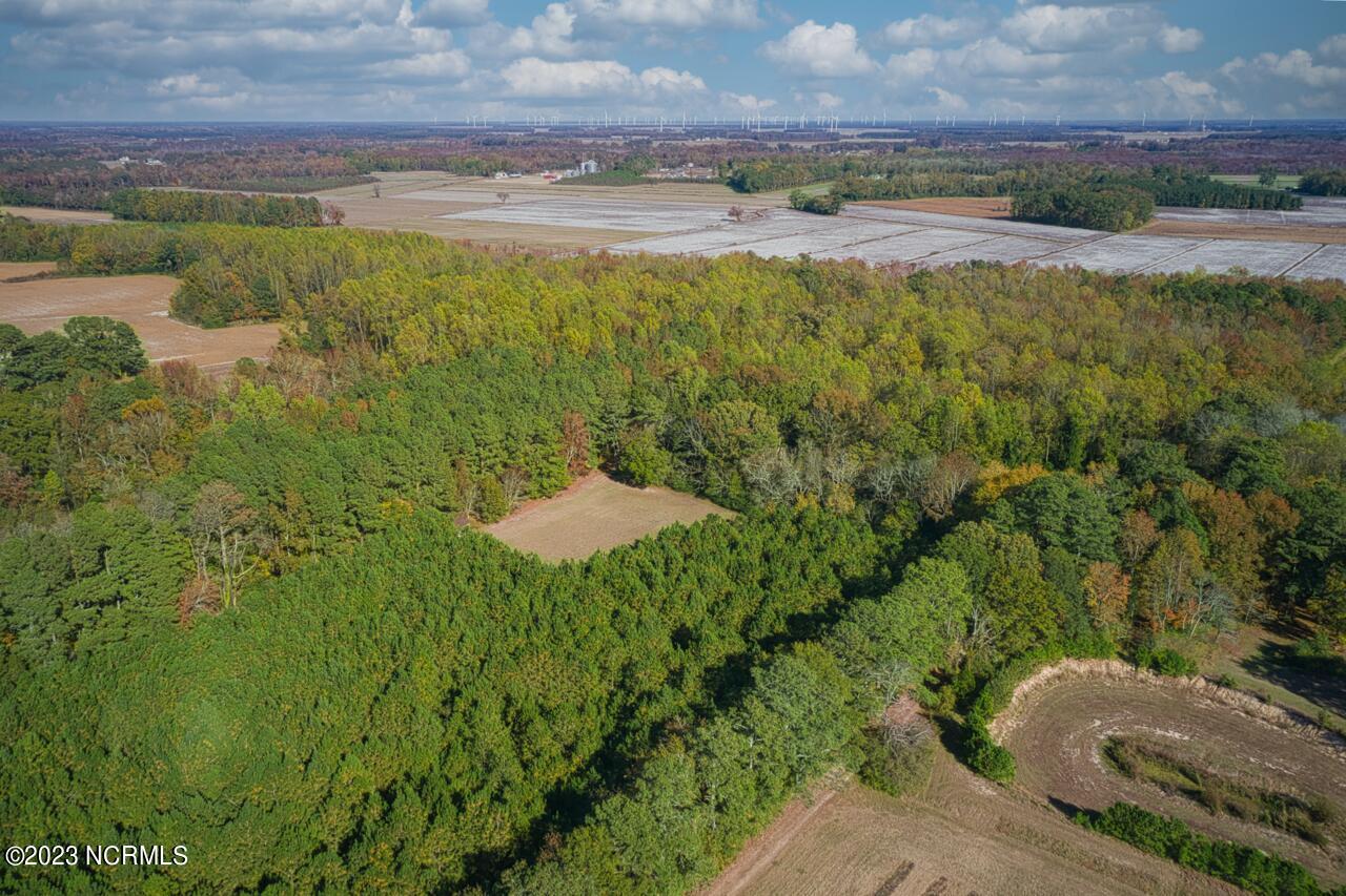 838 County Line Road Tyner, NC 27980 - Photo 61 of 70 DJI_0026 Large