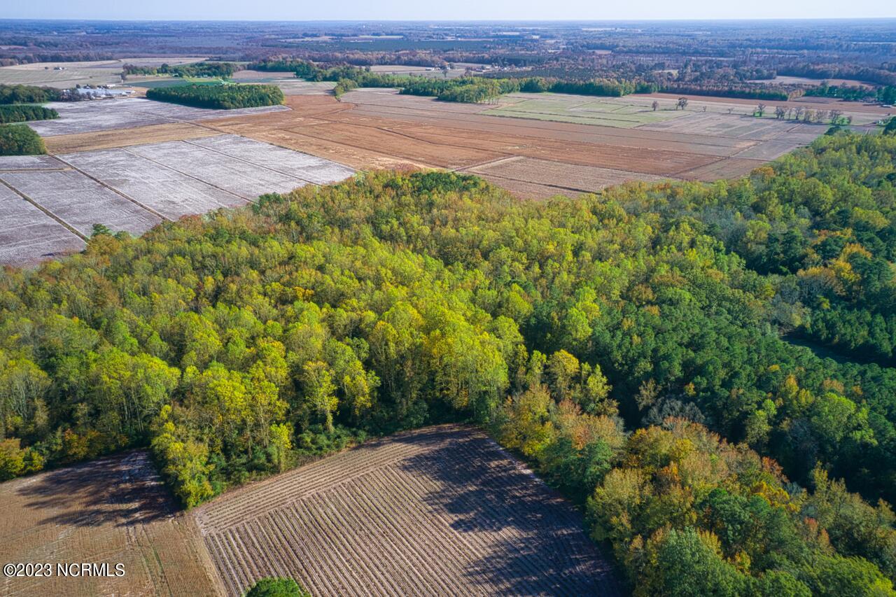838 County Line Road Tyner, NC 27980 - Photo 63 of 70 DJI_0030 Large