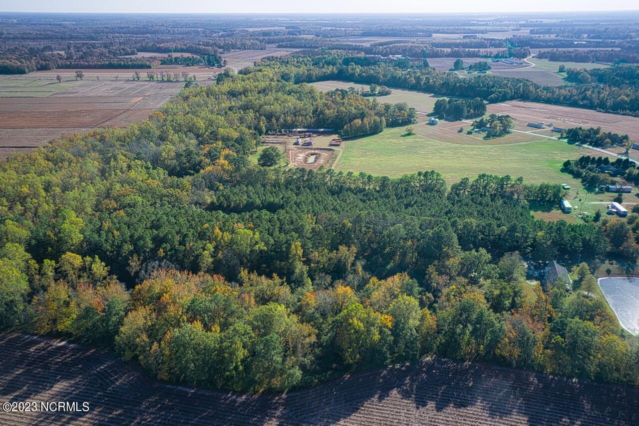 838 County Line Road Tyner, NC 27980 - Photo 64 of 70 DJI_0031 Large