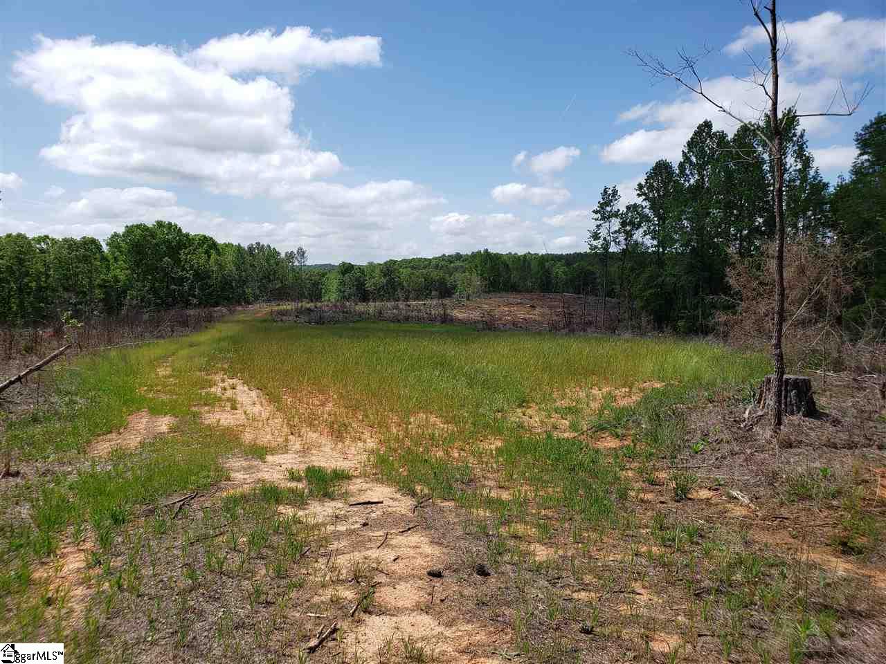 1300 Nation Road Hodges, SC 29653 - Photo 3 of 8