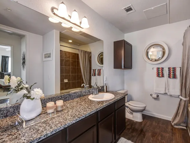 a bathroom with a granite countertop sink a toilet and a mirror