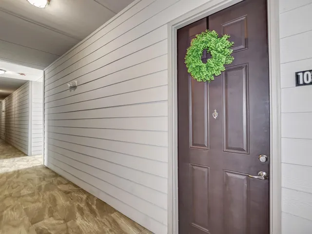a potted plant sitting in front of a door