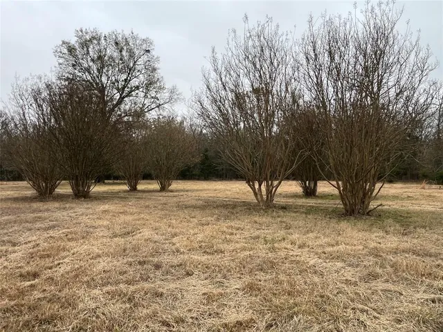 a view of a yard covered with snow in trees