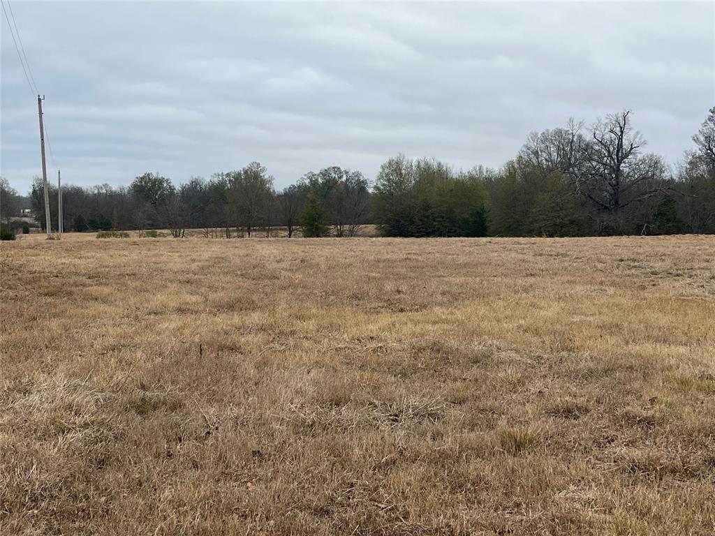 3771 County Road Detroit, TX 75436 - Photo 27 of 30