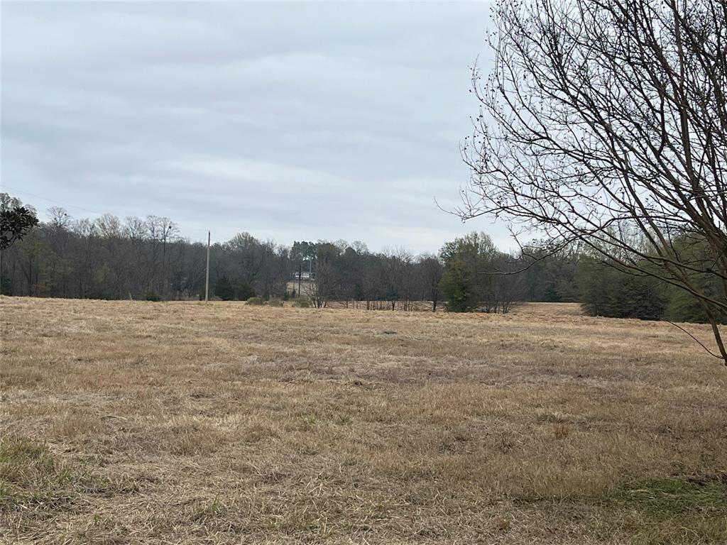 3771 County Road Detroit, TX 75436 - Photo 28 of 30