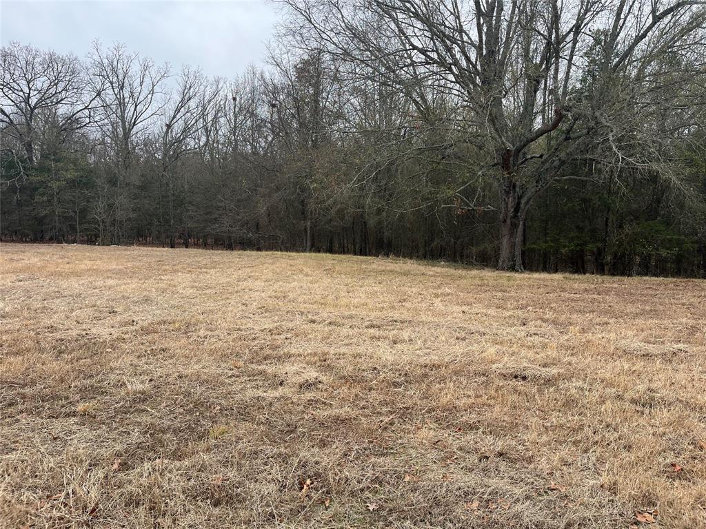 3771 County Road Detroit, TX 75436 - Photo 29 of 30