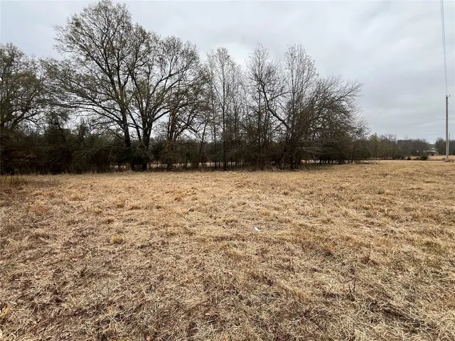 a view of wooden wall with a yard
