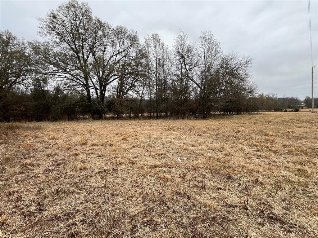 3771 County Road Detroit, TX 75436 - Photo 30 of 30