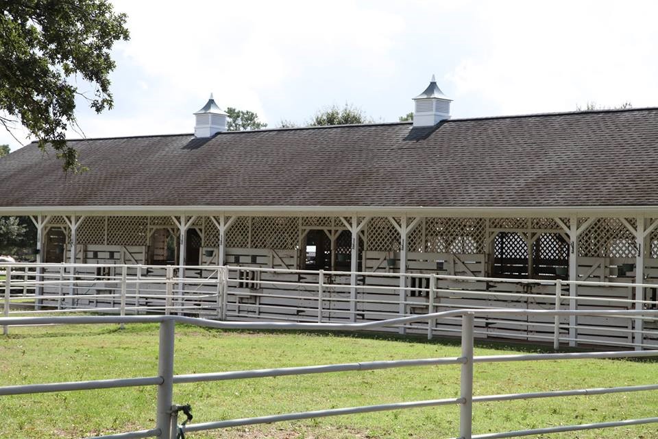 1114 Bringewood Chase Drive Spring, TX 77379 - Photo 19 of 20