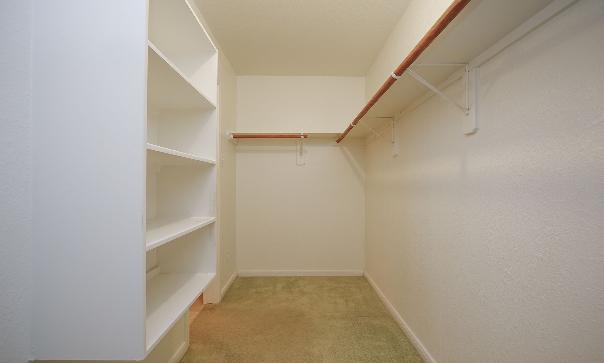 1114 Bringewood Chase Drive Spring, TX 77379 - Photo 26 of 44 Walk in closet with storage shelves