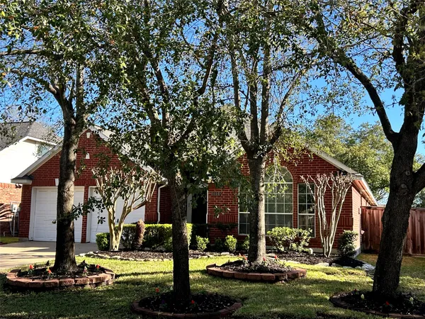 a view of a yard with plants and large trees