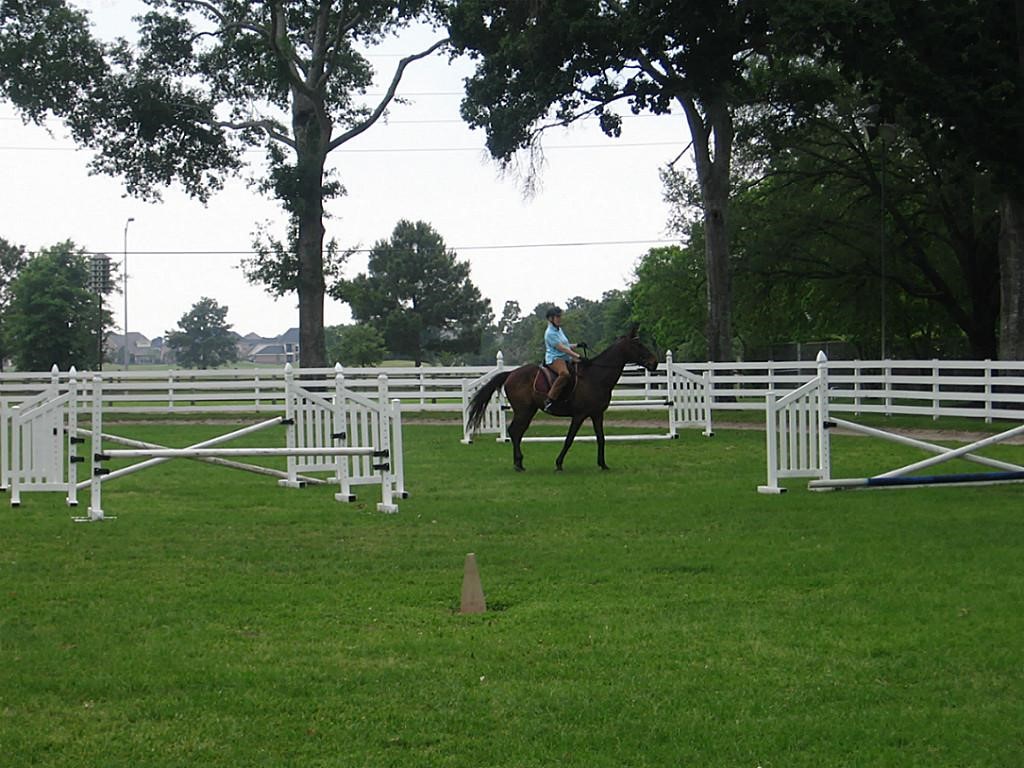 1114 Bringewood Chase Drive Spring, TX 77379 - Photo 41 of 44 Equestrian center
