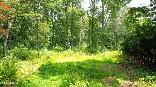 a view of a hallway with entryway