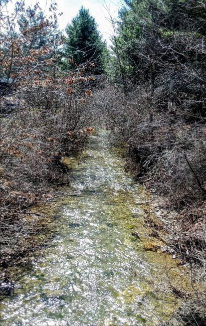 512 Wildcat Run Road South Marlinton, WV 24954 - Photo 9 of 45 Gallery Image 9