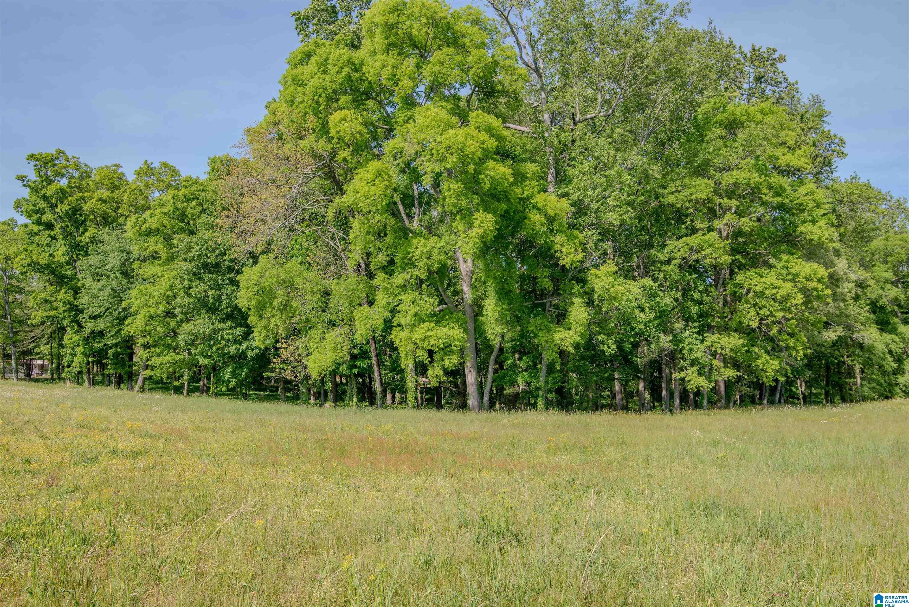 Apple Grove Road, Unit 4 Somerville, AL 35670 - Photo 6 of 19 Gallery Image 6