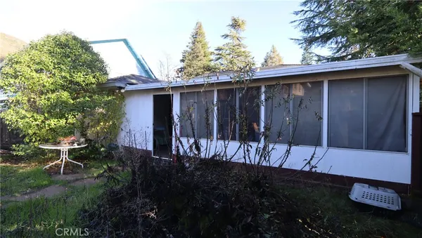 a view of backyard with large trees and wooden fence