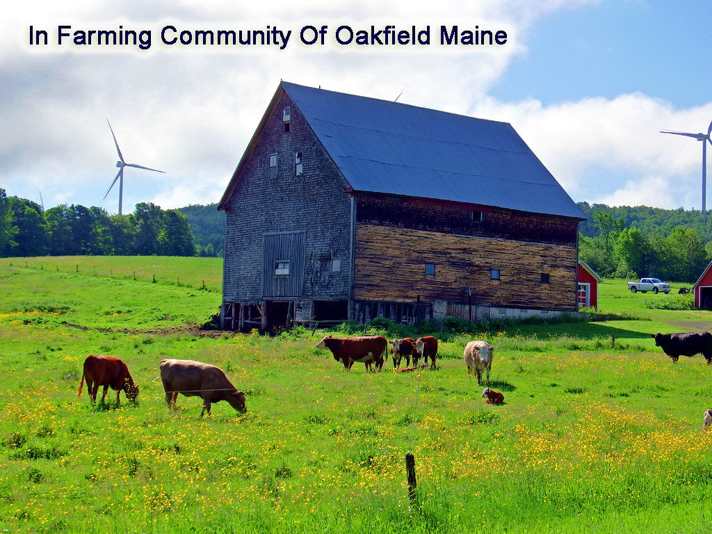 299 Thompson Settlement Road Oakfield, ME 04763 - Photo 19 of 20 farming-oakfield-maine