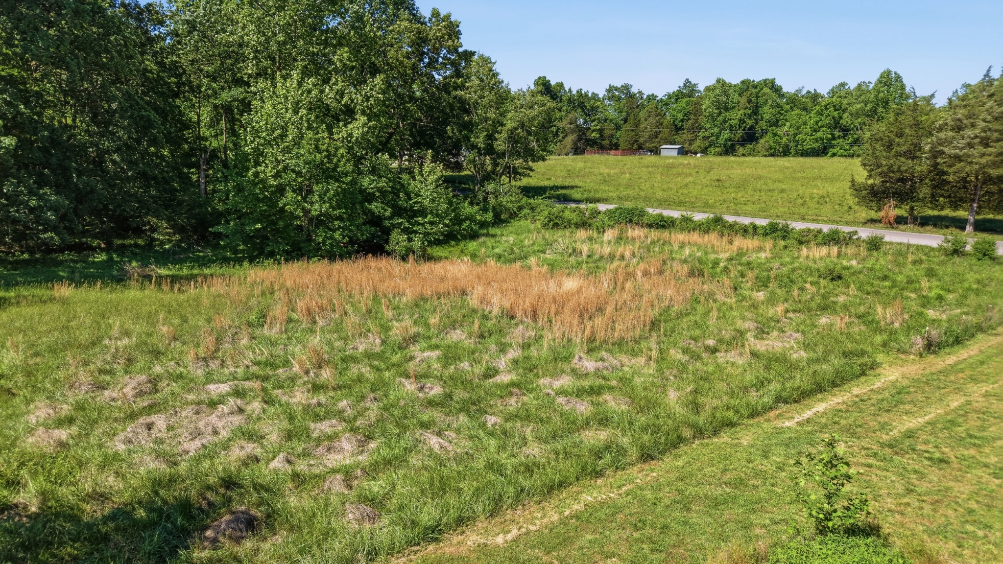 0 Ridgeville Road Tullahoma, TN 37388 - Photo 3 of 3 a view of a garden with a lake