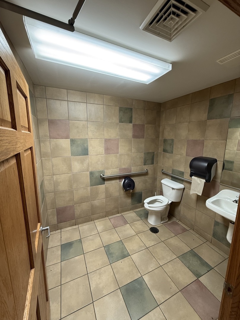 330 North 1st Street Cuba, IL 61427 - Photo 7 of 10 a bathroom with a sink and a toilet