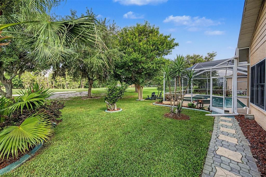 1331 Trimaran Place Trinity, FL 34655 - Photo 25 of 54