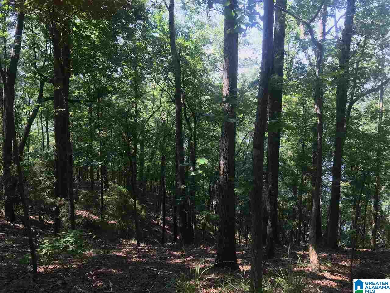 0 Sleepy Hollow Road, Unit 75 Rockford, AL 35136 - Photo 11 of 33