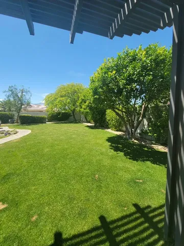 a view of a yard with an outdoor space
