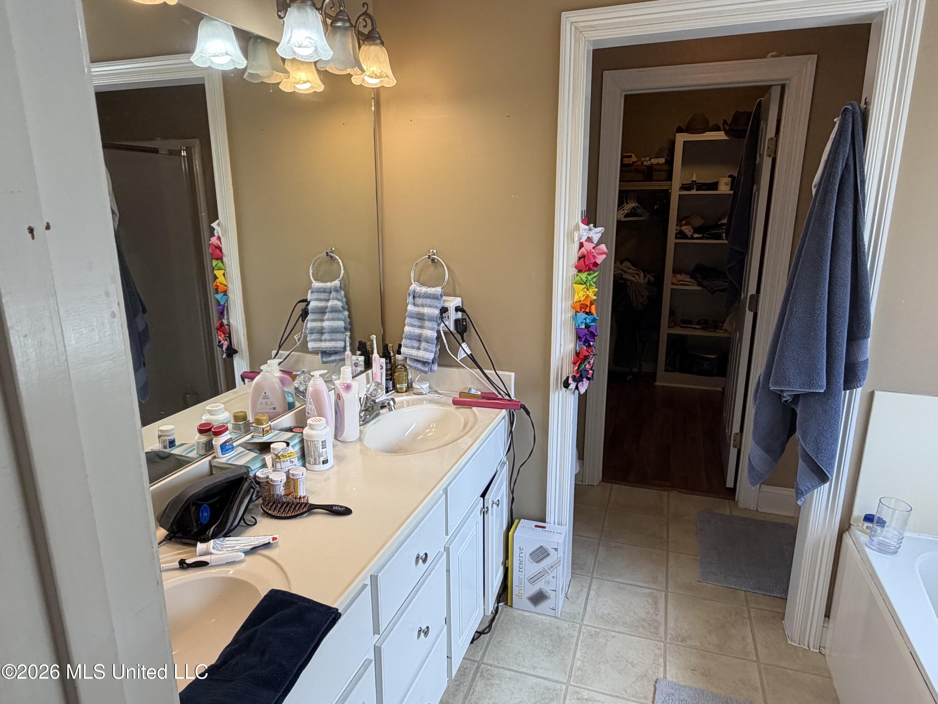 229 Camelot Way Brandon, MS 39047 - Photo 20 of 25 Primary Bathroom