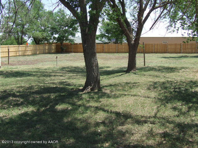4217 Farmers Avenue Amarillo, TX 79110 - Photo 3 of 3 a view of a yard with a tree