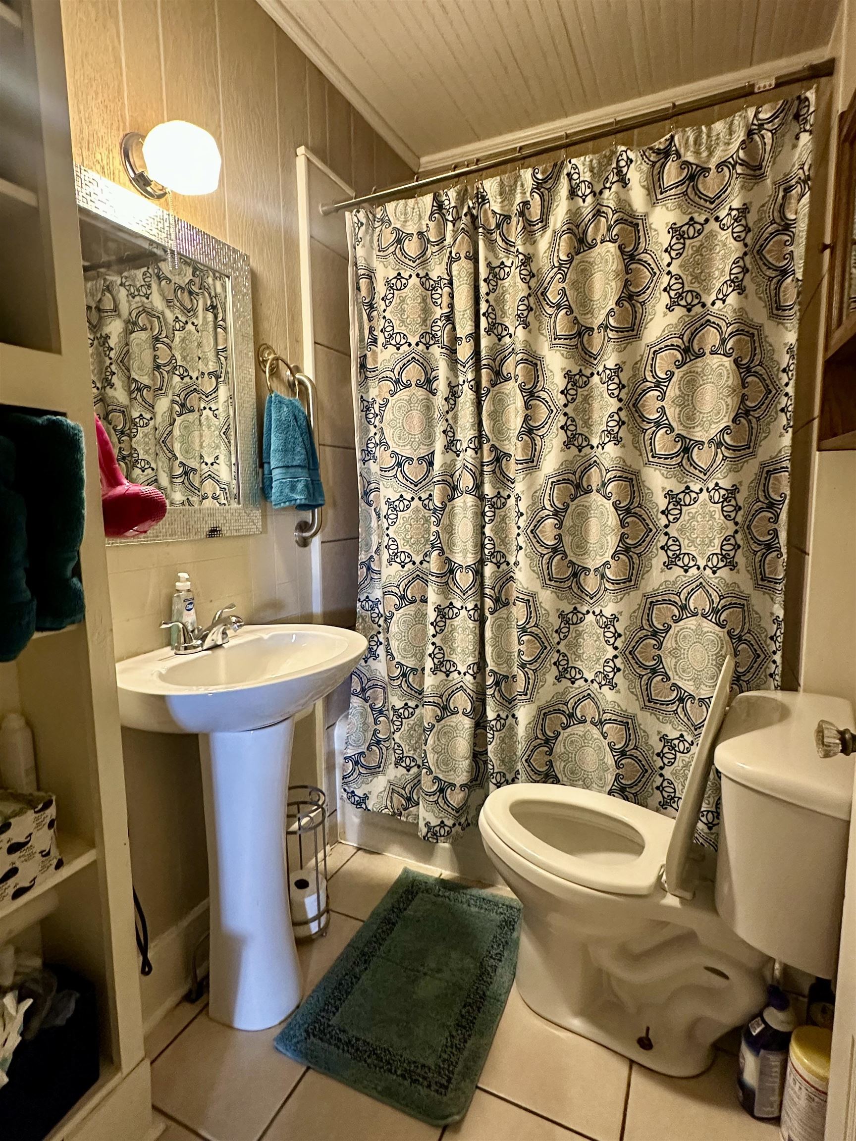 248 Canal Street Selmer, TN 38375 - Photo 10 of 21 a bathroom with a sink toilet and shower
