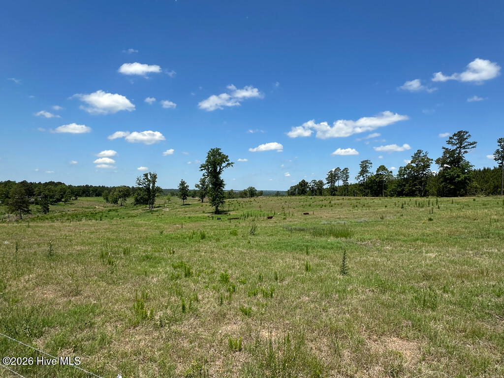 4791 Old Waynesboro Road Hephzibah, GA 30815 - Photo 31 of 42 85