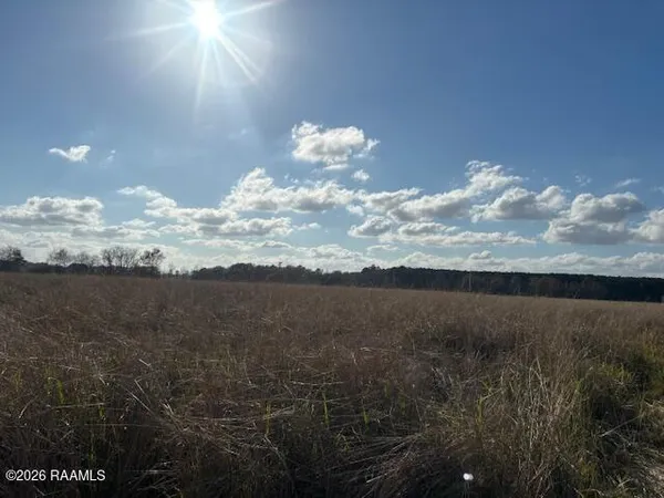 $38,500 | Ruppert Lake Road, Unit 3, Iota, LA 70543