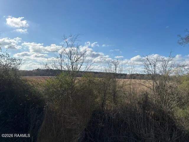 $38,500 | Ruppert Lake Road, Unit 3, Iota, LA 70543