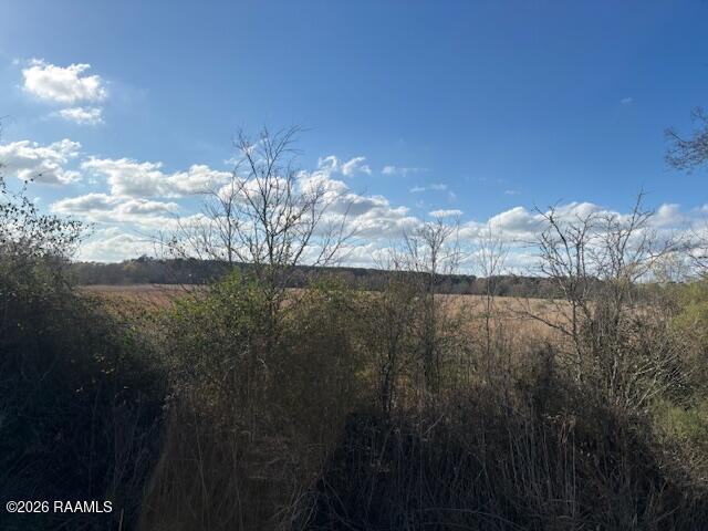 Ruppert Lake Road, Unit 3 Iota, LA 70543 - Photo 4 of 7 IMG_9130