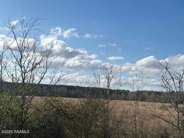 Ruppert Lake Road, Unit 3 Iota, LA 70543 - Photo 5 of 7 IMG_9131