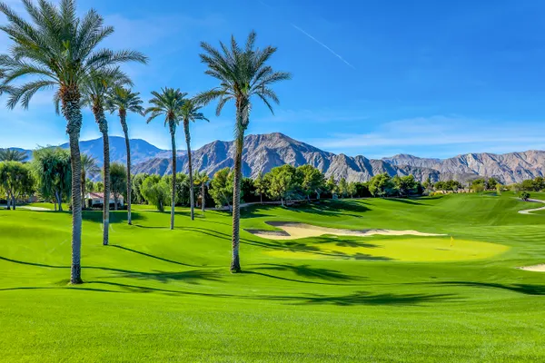 a view of a park with palm trees