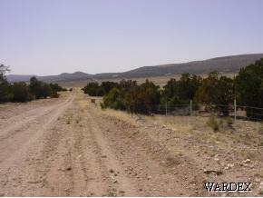 53770 North Bridge Canyon Road Seligman, AZ 86337 - Photo 1 of 12 Primary Photo