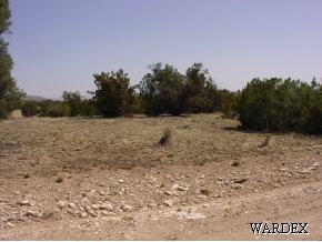 53770 North Bridge Canyon Road Seligman, AZ 86337 - Photo 11 of 12 Additional Photo