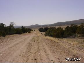53770 North Bridge Canyon Road Seligman, AZ 86337 - Photo 12 of 12 Additional Photo