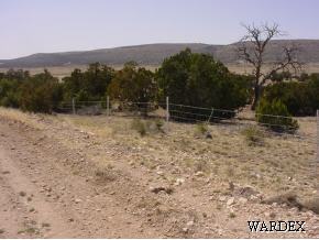 53770 North Bridge Canyon Road Seligman, AZ 86337 - Photo 2 of 12 Additional Photo