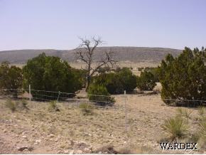 53770 North Bridge Canyon Road Seligman, AZ 86337 - Photo 3 of 12 Additional Photo