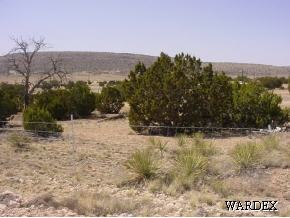 53770 North Bridge Canyon Road Seligman, AZ 86337 - Photo 4 of 12 Additional Photo