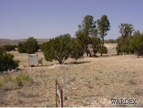 53770 North Bridge Canyon Road Seligman, AZ 86337 - Photo 5 of 12 Additional Photo