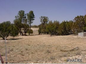 53770 North Bridge Canyon Road Seligman, AZ 86337 - Photo 6 of 12 Additional Photo