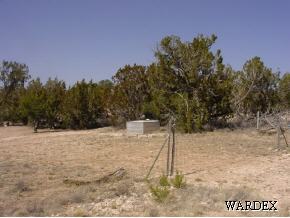 53770 North Bridge Canyon Road Seligman, AZ 86337 - Photo 7 of 12 Additional Photo