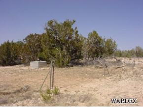 53770 North Bridge Canyon Road Seligman, AZ 86337 - Photo 8 of 12 Additional Photo