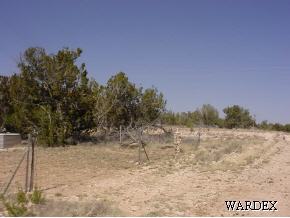 53770 North Bridge Canyon Road Seligman, AZ 86337 - Photo 9 of 12 Additional Photo