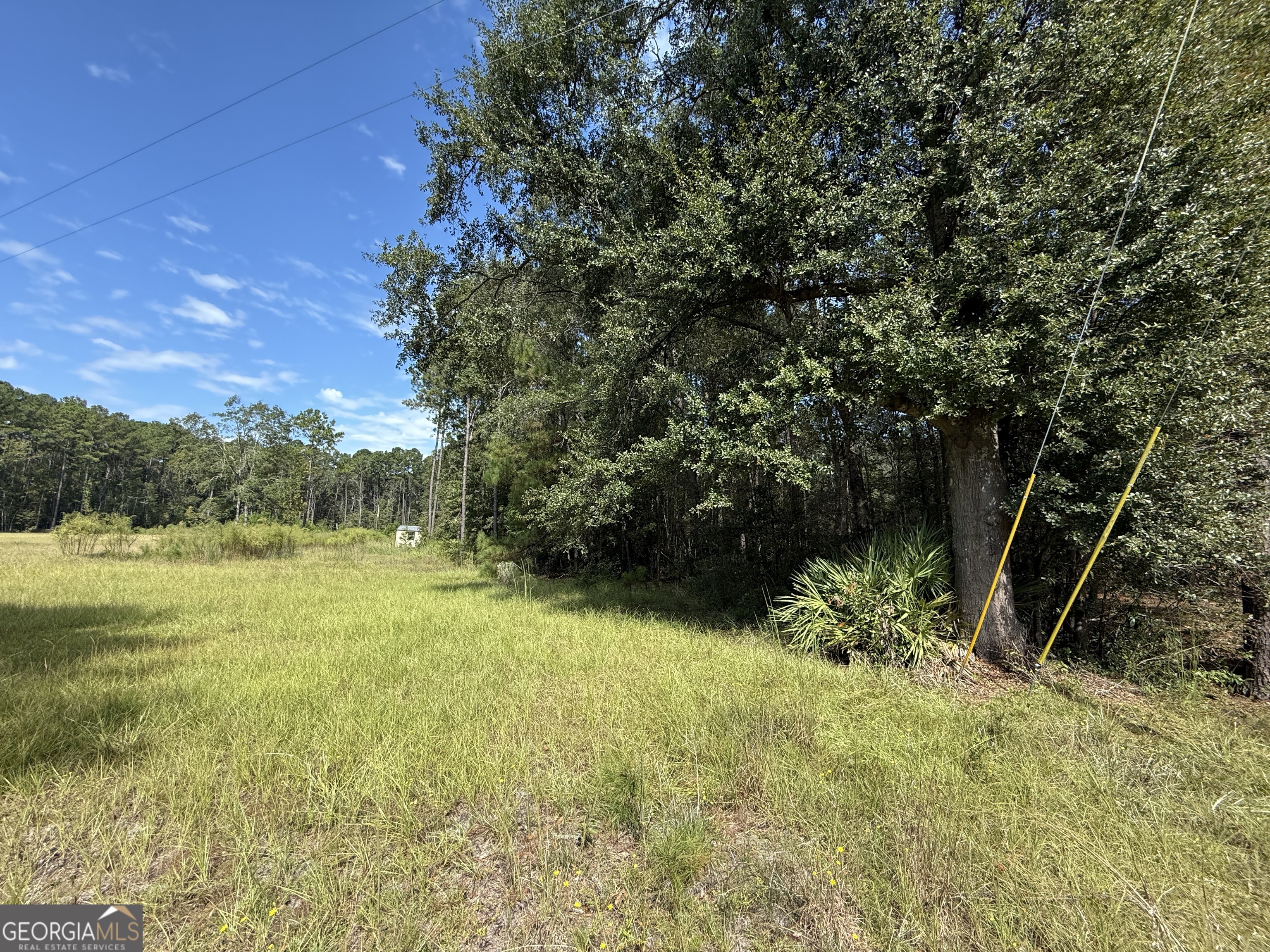 124 Oak Street Rincon, GA 31326 - Photo 2 of 10 a view of outdoor space and yard