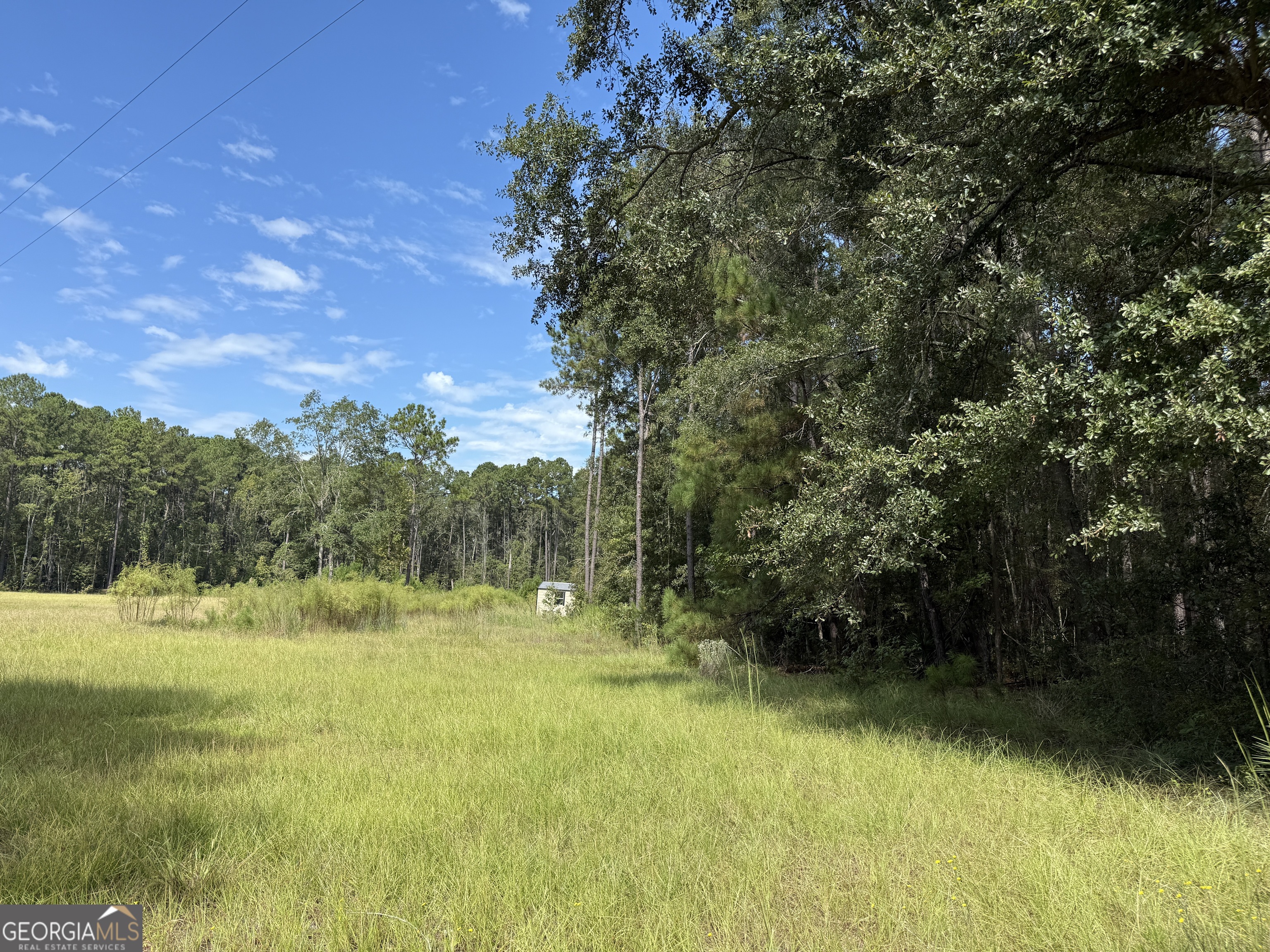 124 Oak Street Rincon, GA 31326 - Photo 3 of 10 a view of outdoor space and yard