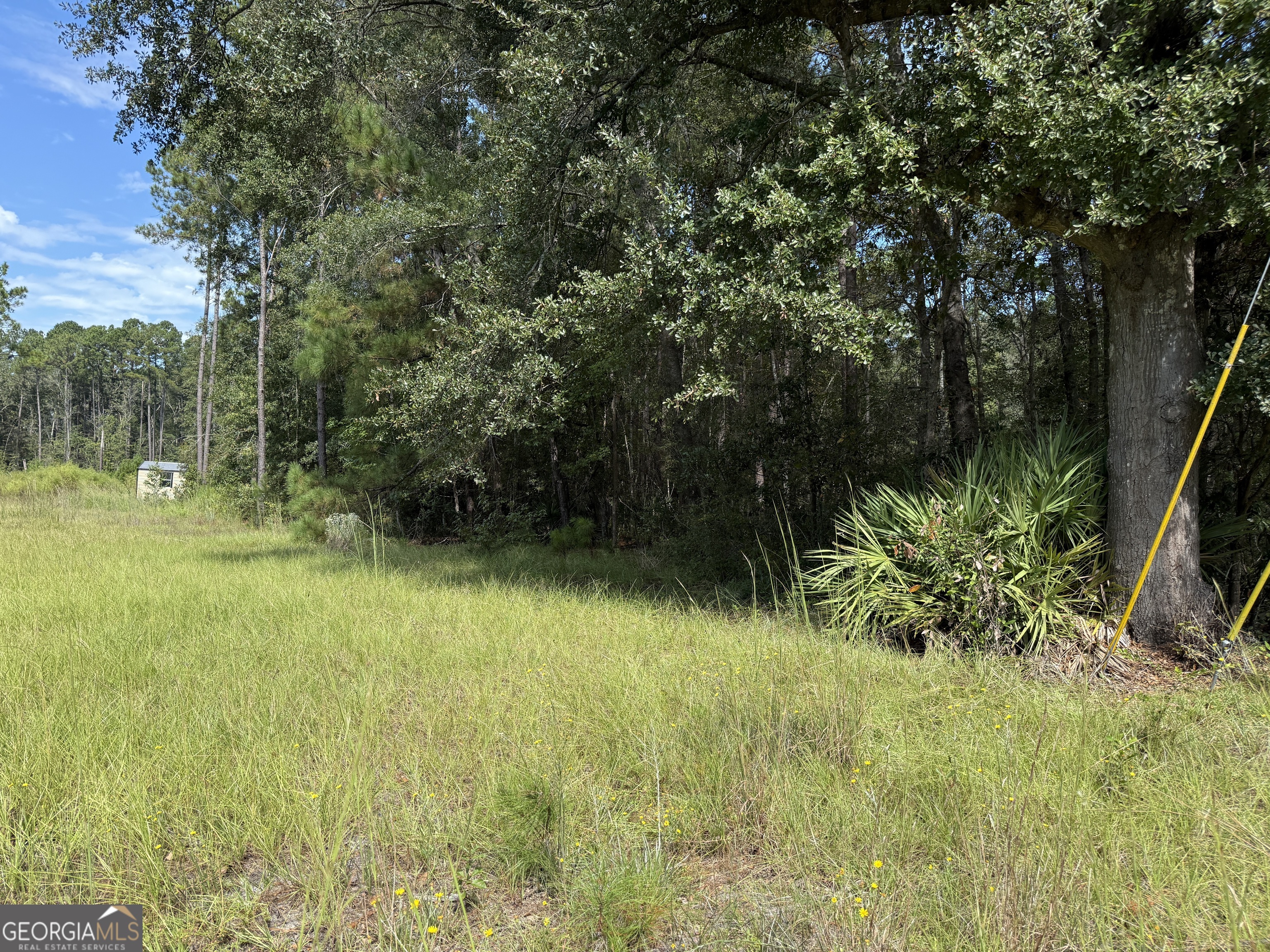 124 Oak Street Rincon, GA 31326 - Photo 4 of 10 a view of outdoor space with deck and yard