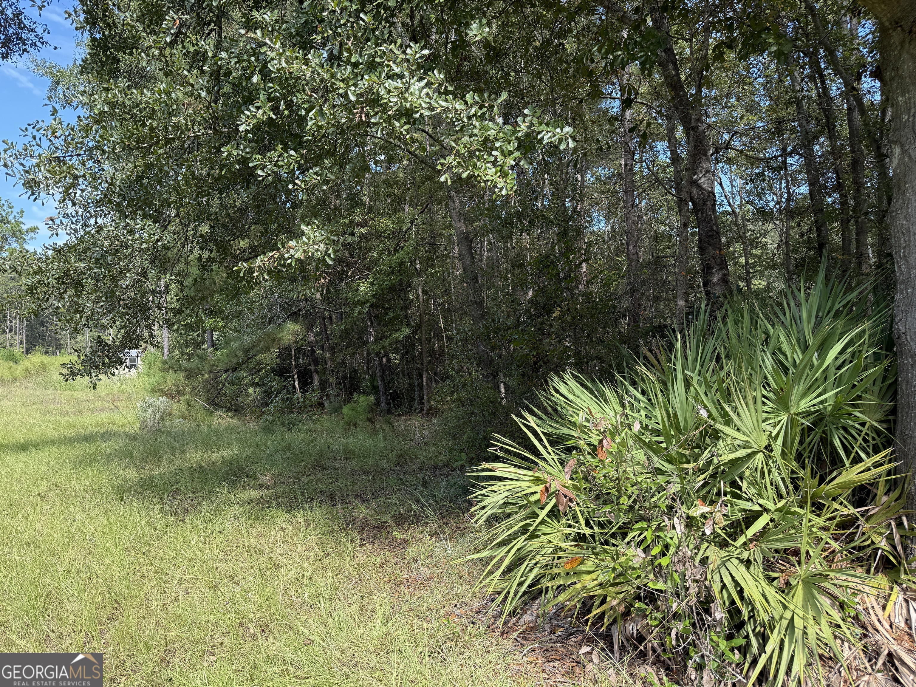 124 Oak Street Rincon, GA 31326 - Photo 5 of 10 a view of a garden from a lake
